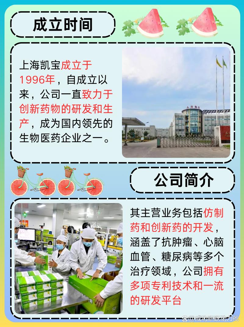 上海凱寶最新消息，上海凱寶深度分析